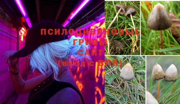 спайс Арсеньев