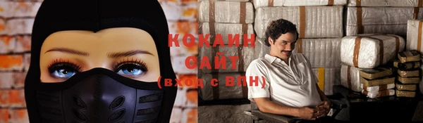 спайс Арсеньев