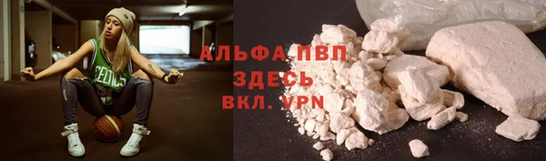 спайс Арсеньев