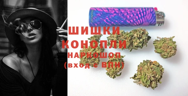 спайс Арсеньев